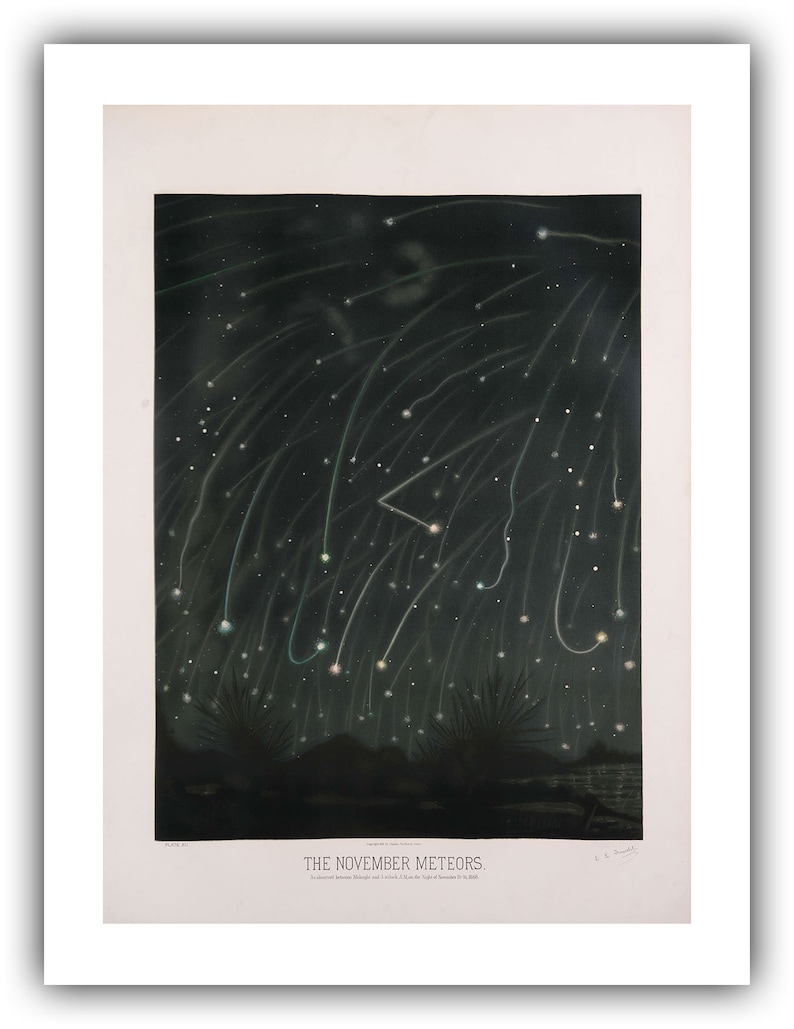May include: A vintage illustration depicting a night sky filled with streaks of light from the November meteors. The caption reads "THE NOVEMBER METEORS. Observed between Brighton and Lewes, U.K. on the night of November 13, 1833."