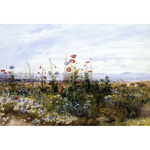 Andrew Nicholl : Wildflowers with a View of Dublin (1830s) - Giclee Fine Art Print