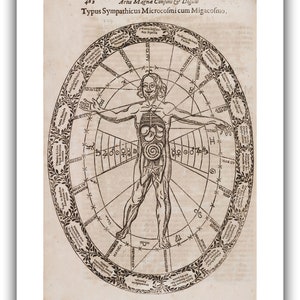 Athanasius Kircher : Typus Sympathicus Microcosmi cum Migacosmo Musurgia Universalis, 1650 Giclee Fine Art Print 12 x 16 inches