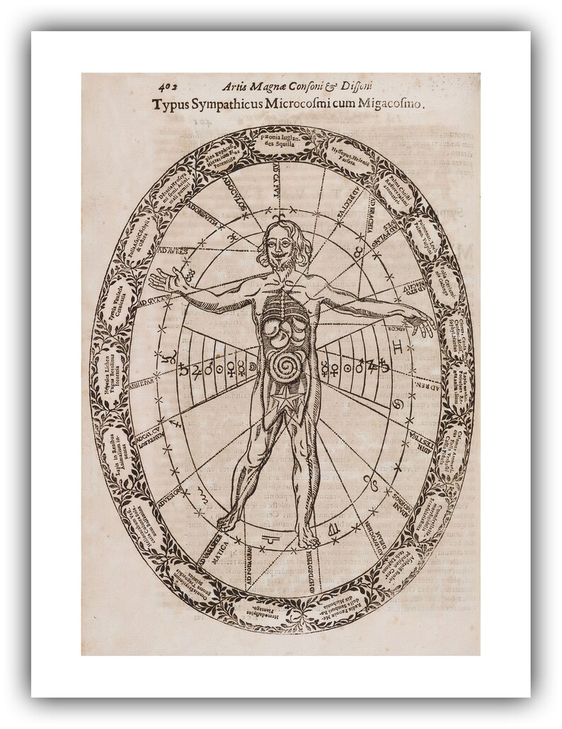 Athanasius Kircher : Typus Sympathicus Microcosmi cum Migacosmo Musurgia Universalis, 1650 Giclee Fine Art Print 12 x 16 inches