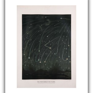 May include: A vintage illustration depicting a dark night sky filled with streaks of light from the November meteors. The image is titled "THE NOVEMBER METEORS" and includes the artist's signature, "F.B. Schell."