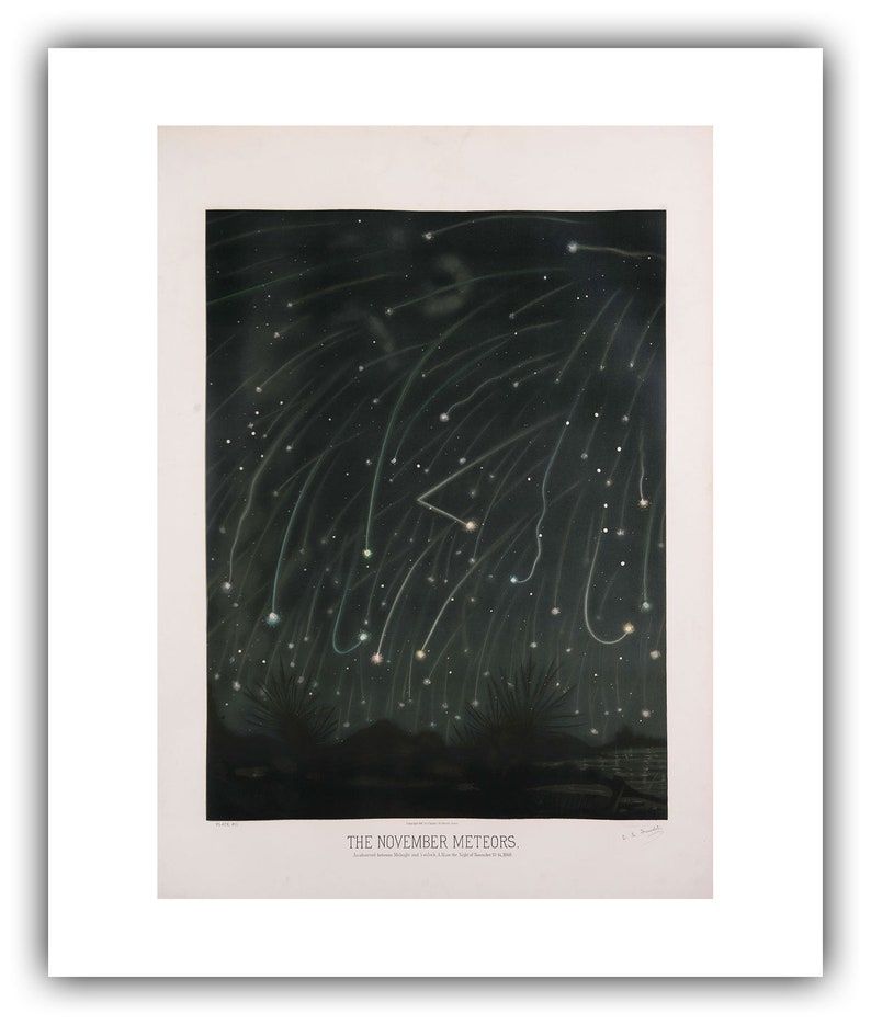 May include: A vintage illustration depicting a dark night sky filled with streaks of light from the November meteors. The image is titled "THE NOVEMBER METEORS" and includes the artist's signature, "F.B. Schell."
