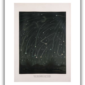 May include: A vintage illustration depicting a night sky filled with streaks of light from the November meteors. The image is titled "The November Meteors" and includes the date "November 13, 1833".