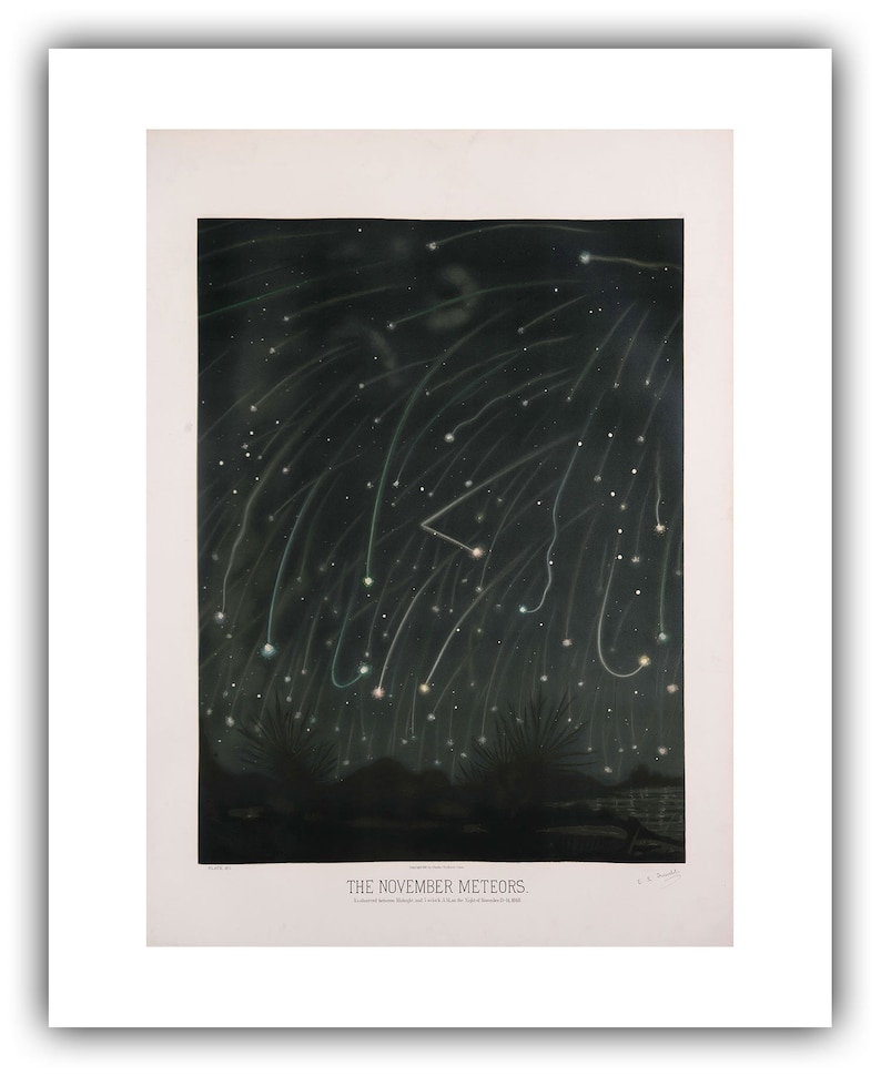 May include: A vintage illustration depicting a night sky filled with streaks of light from the November meteors. The image is titled "The November Meteors" and includes the date "November 13, 1833".