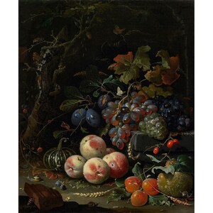 Abraham Mignon : Still life with Fruits, Foliage and Insects (c. 1669) - Giclee Fine Art Print