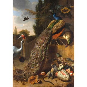 Melchior de Hondecoeter : Peacocks (1683) - Giclee Fine Art Print