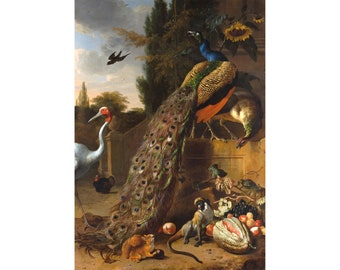 Melchior de Hondecoeter : Peacocks (1683) - Giclee Fine Art Print