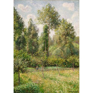 Camille Pissarro : Poplars, Eragny (1895) - Giclee Fine Art Print