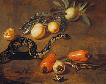 Dirk Valkenburg : Still Life of Fruits from Surinam and Reptiles - Giclee Fine Art Print