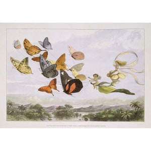 May include: A vintage illustration of a fairy queen riding in a carriage pulled by colorful butterflies. The fairy queen is wearing a white dress and a crown. The butterflies are flying in a line, and the scene is set against a backdrop of a blue sky and green hills.
