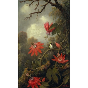 Martin Johnson Heade : Hummingbird and Passionflowers (c. 1875-1885) - Giclee Fine Art Print