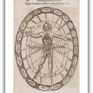 Athanasius Kircher : Typus Sympathicus Microcosmi cum Migacosmo Musurgia Universalis, 1650 Giclee Fine Art Print 20 x 30 inches