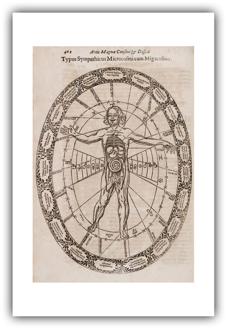 Athanasius Kircher : Typus Sympathicus Microcosmi cum Migacosmo Musurgia Universalis, 1650 Giclee Fine Art Print 20 x 30 inches