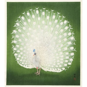 Ohara Koson: Paw (1925-1936) - Giclee Fine Art Print