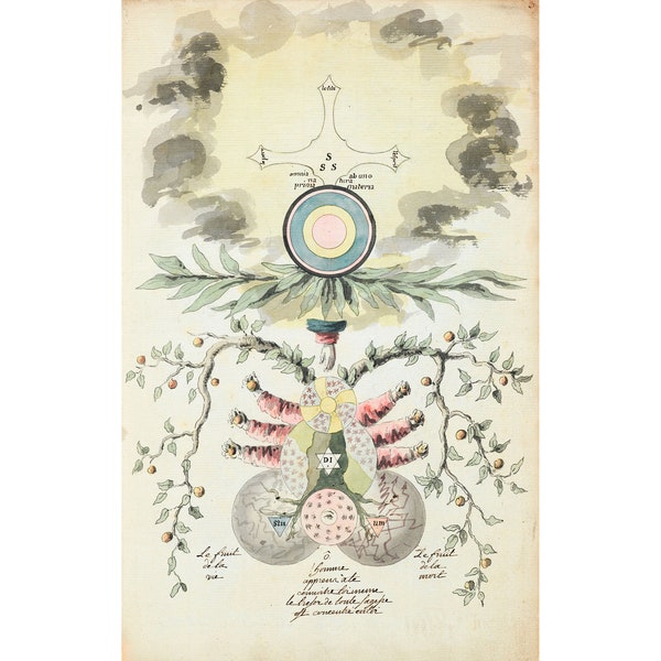 Alchemical Illustration : Omnia ab Uno Natura Prima Materia (c. 1700) - Giclee Fine Art Print
