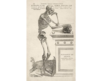 Andreas Vesalius : Skeleton Contemplating a Skull (1543) - Giclee Fine Art Print