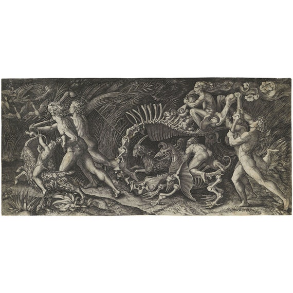 Agostino Veneziano : The Carcass / Lo Stregozzo (c. 1520) - Giclee Fine Art Print