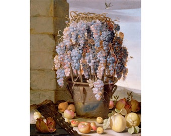 Luca Forte : Still Life with Grapes and other Fruit (1630s) - Giclee Fine Art Print