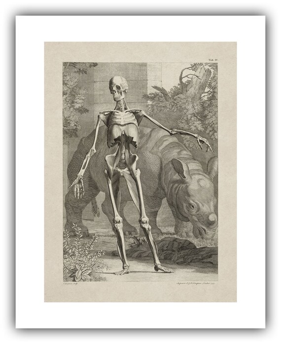 image not described image