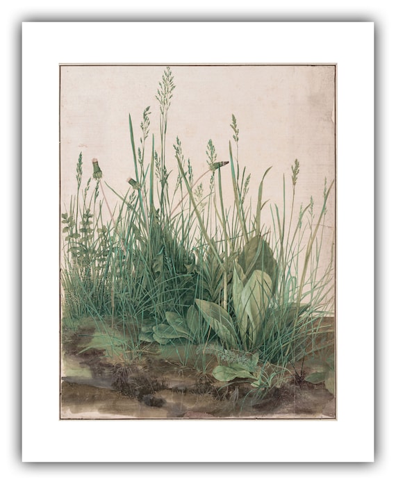 Albrecht Durer : the Great Piece of Turf (1503) - Giclee Fine Art