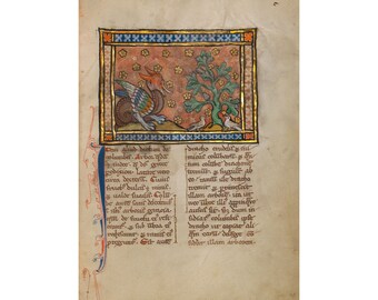 Bestiary Illumination : A Dragon Charging Two Doves (c. 1270) - Giclee Fine Art Print