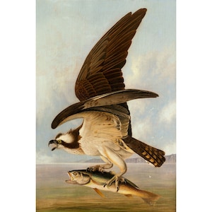 May include: A painting of an osprey with brown and white feathers, in flight, holding a fish in its talons. The osprey is against a light blue sky with white clouds.