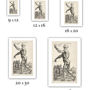 Andreas Vesalius Human Anatomy Print : Muscle Man II (1543) - Giclee ...