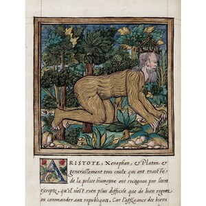 Histoires Prodigieuses Illumination : The Wretched King Nebuchadnezzar, fourth King of the Babylonians (1559) - Giclee Fine Art Print