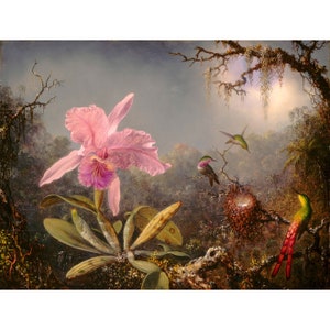 Martin Johnson Heade : Cattleya Orchid and Three Hummingbirds (1871) - Giclee Fine Art Print