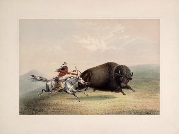 /"Buffalo Hunt Catlin North American Indian Portfolio Chase/" — Fine Art Print