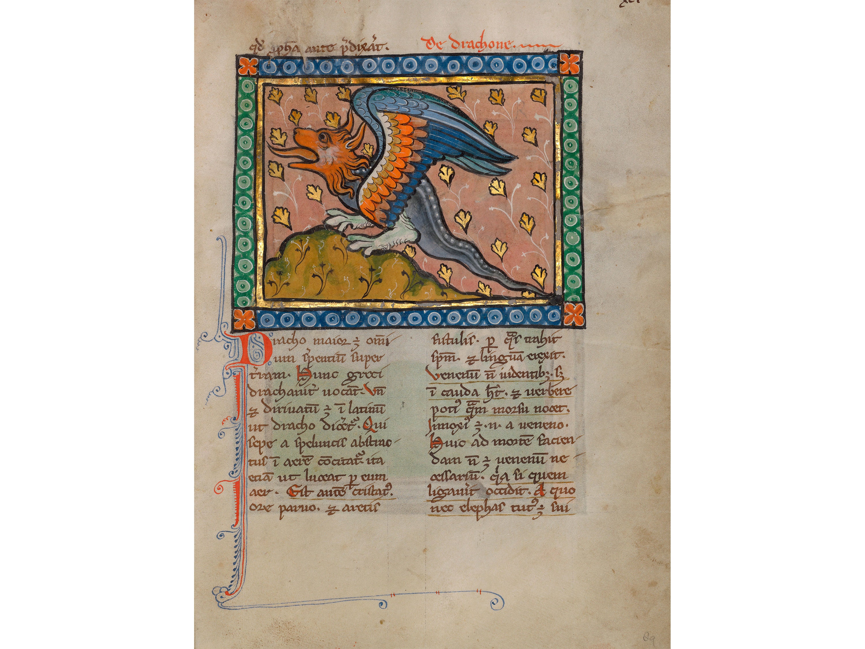 Bestiary Illumination : A Dragon (c. 1270) - Giclee Fine Art Print