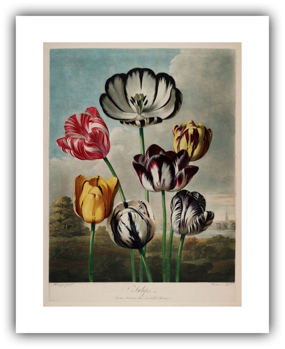 絵画（ジークレー版画）【FLORA】