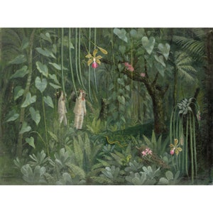 Tirzah Garwood : Orchid Hunters of Brazil (1950) - Giclee Fine Art Print
