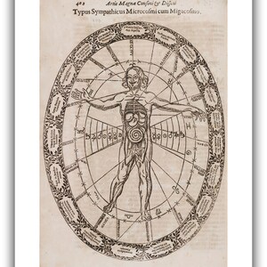 Athanasius Kircher : Typus Sympathicus Microcosmi cum Migacosmo Musurgia Universalis, 1650 Giclee Fine Art Print 24 x 36 inches