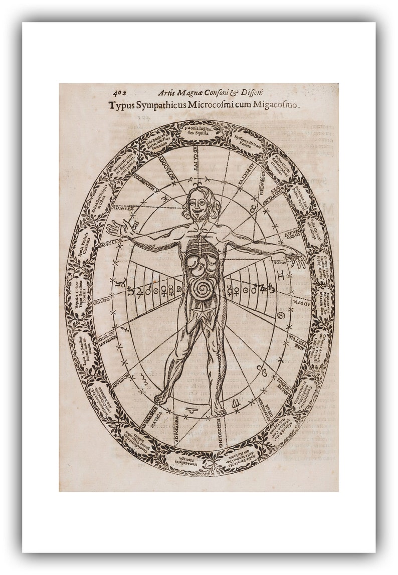 Athanasius Kircher : Typus Sympathicus Microcosmi cum Migacosmo Musurgia Universalis, 1650 Giclee Fine Art Print 24 x 36 inches
