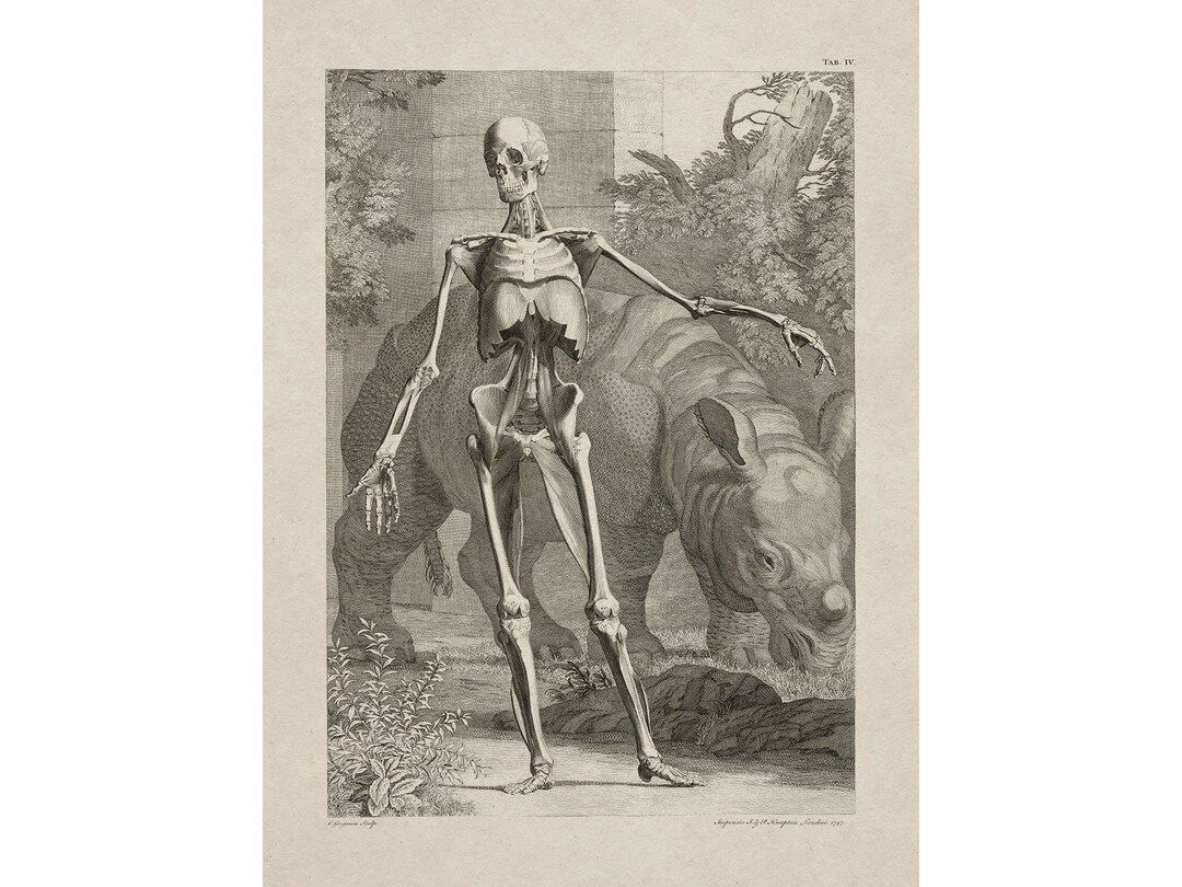 image not described image