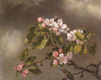 Martin Johnson Heade : Hummingbird and Apple Blossoms (1875) - Giclee Fine Art Print