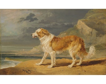 James Ward : Rough-Coated Collie (1809) - Giclee Fine Art Print