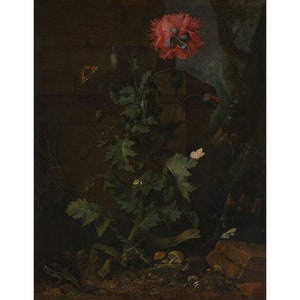 Otto Marseus van Schrieck : Still Life with Poppy, Insects and Reptiles (c. 1670) - Giclee Fine Art Print
