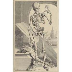 Govard Bidloo and Gerard de Laireese : Skeleton Rising from Tomb (Table 87) (Anatomia humani corporis, 1685) - Giclee Fine Art Print