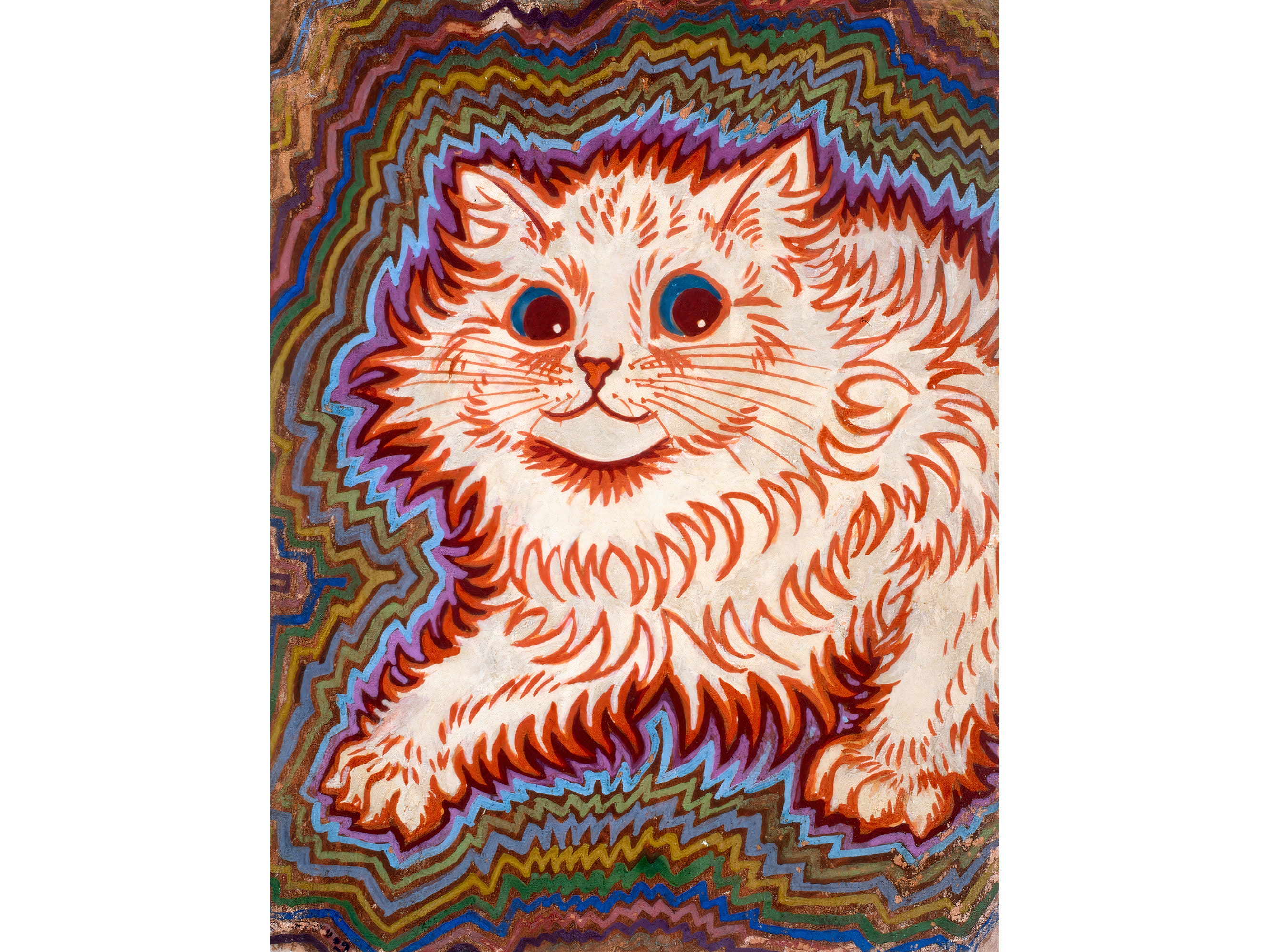 LE KALEIDOSCOPE DES ANIMAUX - TOUTES LES COULEURS DE LA NATURE LE KALEIDOSCOPE DES ANIMAUX - TOUTES LES COULEURS DE LA NATURE