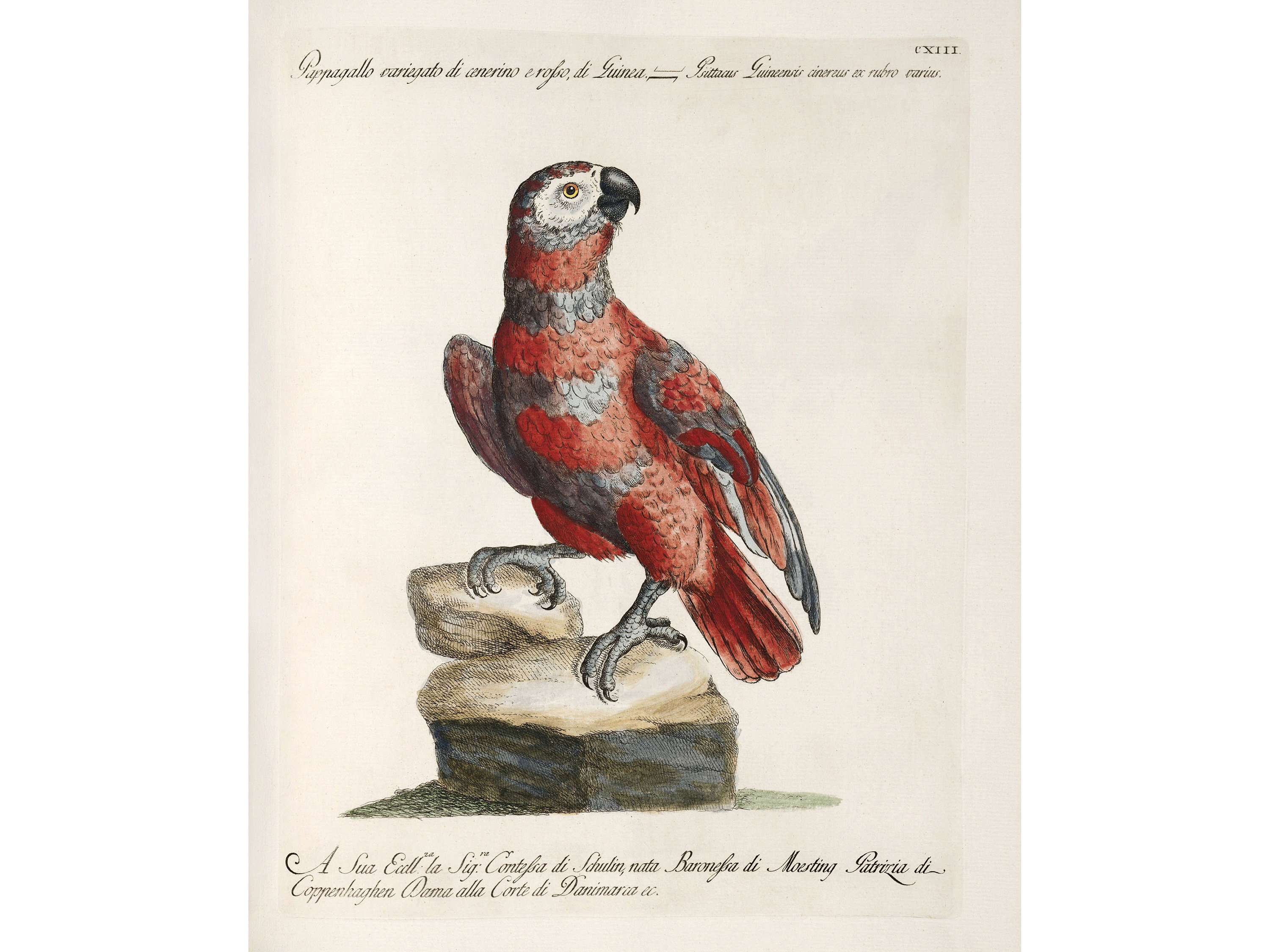 Witches：lorenzo lorenzi lorenzo lorenzi | George Glazer Gallery, Antiques