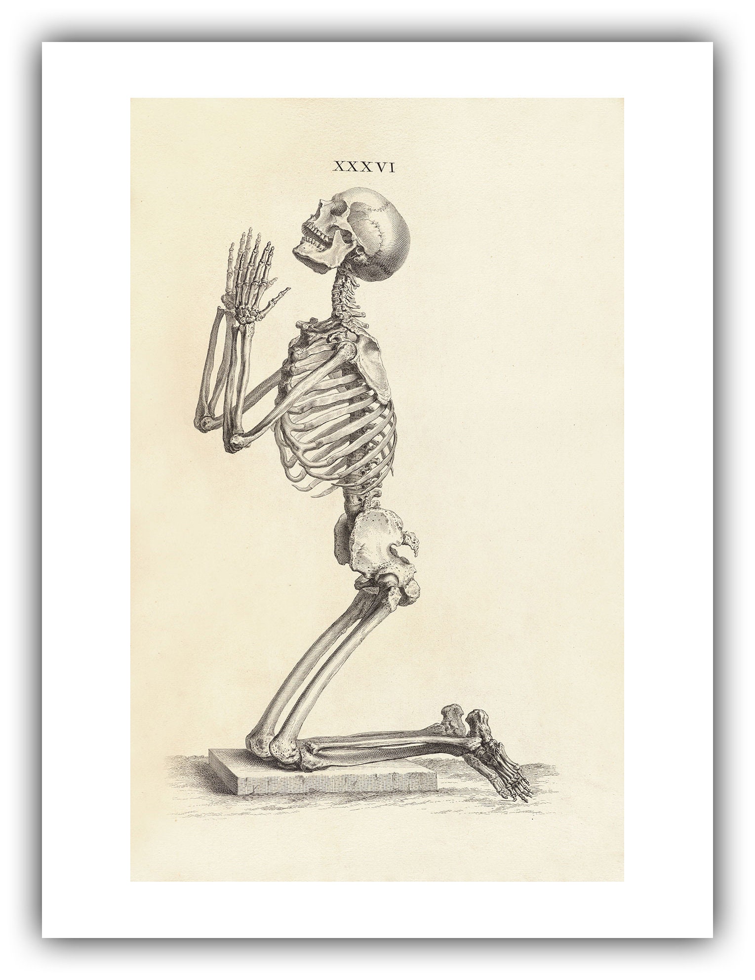 Gerald Steffe スウェーデンの絵画　文化人類学　アフリカ Bildvavning: スウェーデンの絵織物の本 | Myshica Antik