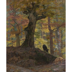 Maria Klass-Kazanowska : Wild Pigs in the Forest (1897) - Giclee Fine Art Print