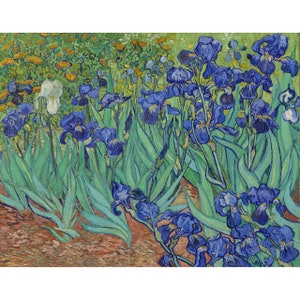 Vincent van Gogh : Irises (1889) - Giclee Fine Art Print