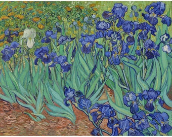 Vincent van Gogh : Irises (1889) - Giclee Fine Art Print