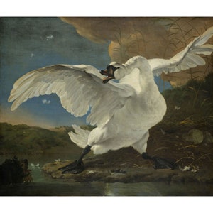 Jan Asselijn : The Threatened Swan (c. 1650) - Giclee Fine Art Print