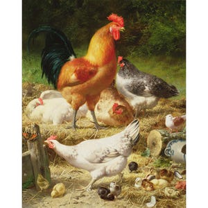 Eugene Remy Maes : Chickens - Giclee Fine Art Print