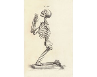 William Cheselden : Side View of a Praying Skeleton (Osteographia, 1733) - Giclee Fine Art Print