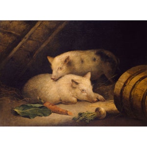 George Morland : Pigs (1775-1800) - Giclee Fine Art Print